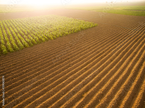 Aerial view ; Rows of soil before planting.Furrows row pattern in a plowed field prepared for planting crops in spring.Horizontal view in perspective.