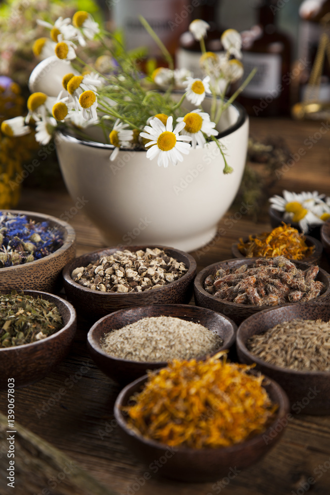 Herbs, berries and flowers with mortar, on wooden table background Herbs, berries and flowers with mortar, on wooden table background