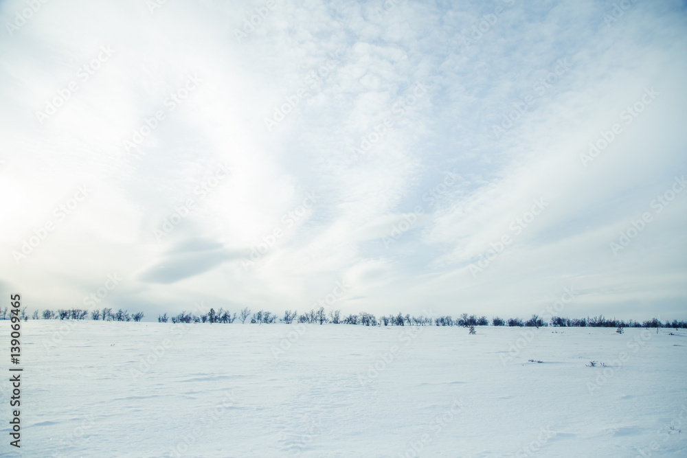 A beautiful, minimalist landscape of snowy Norwegian fields with trees. Clean, light, high key, decorative look. A beautiful, minimalist landscape of snowy Norwegian fields with trees. Clean, light, high key, decorative look.