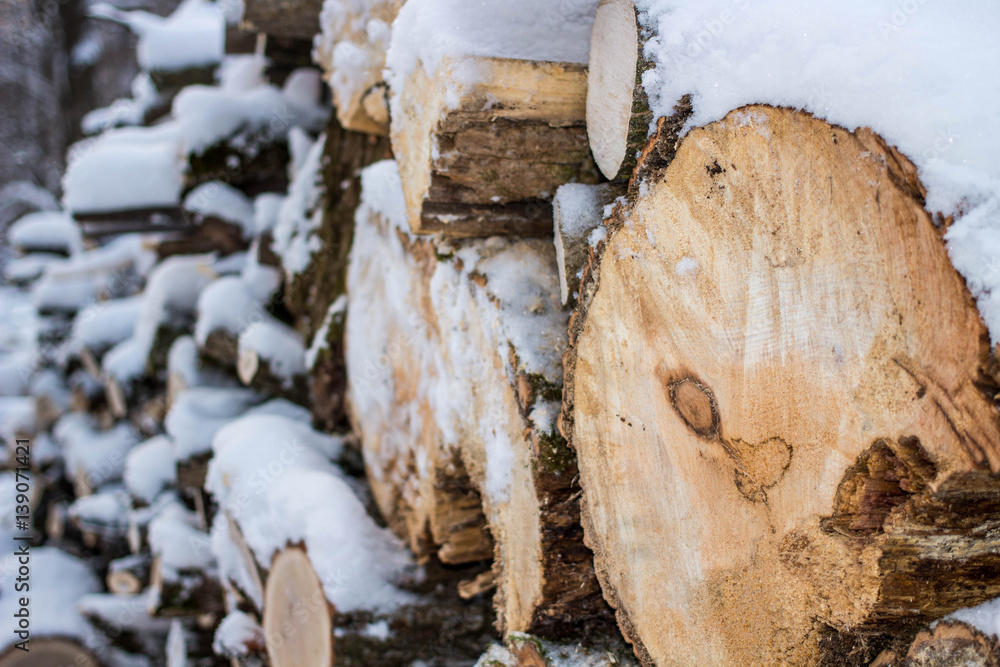 Wall of stacked logs and branches. Firewood in the snow Wall of stacked logs and branches. Firewood in the snow