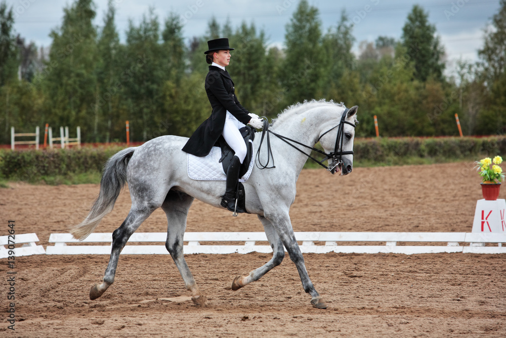 Dressage horse and woman rider - extended trot Dressage horse and woman rider - extended trot