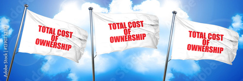 Φωτογραφία total cost of ownership, 3D rendering, triple flags