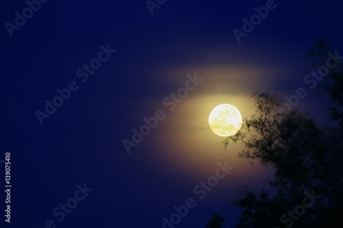 Full moon beautiful over dark  sky at have  tree shadow in night