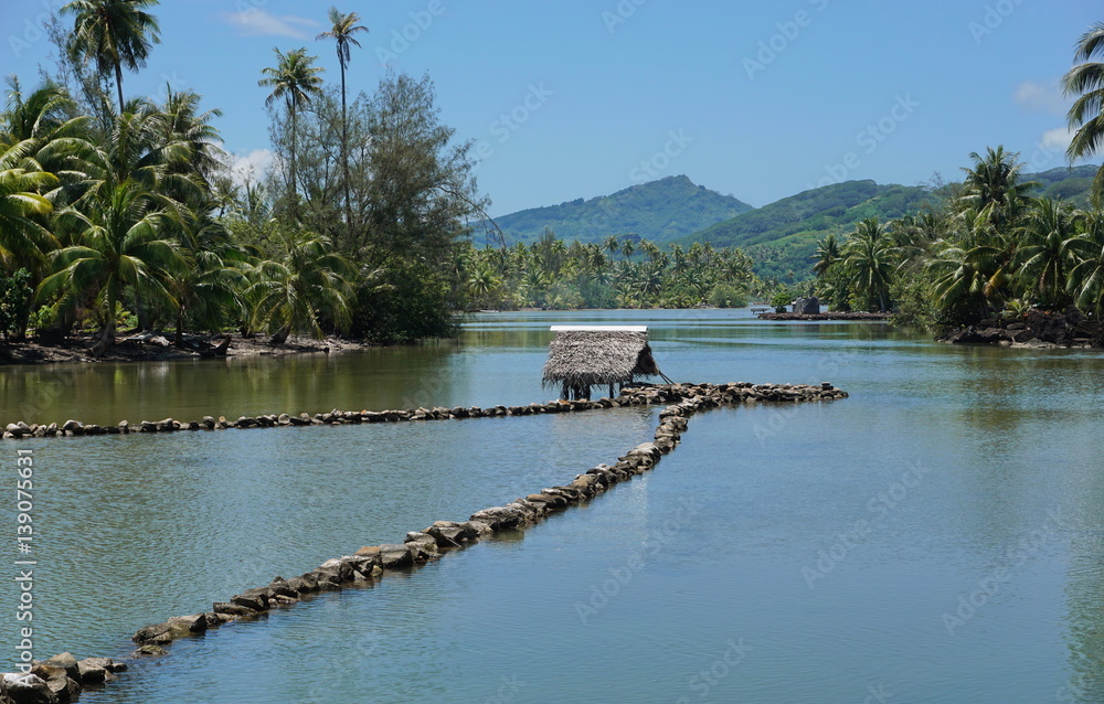 Stone Fish Trap Images – Browse 12 Stock Photos, Vectors, and