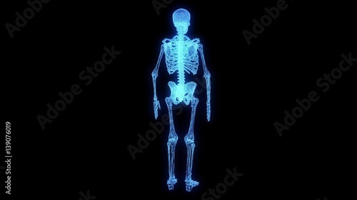 Human Skeleton Wireframe Hologram in Motion. Nice 3D Rendering
