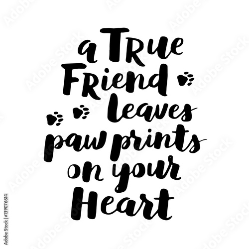 Dog hand written lettering. Brush lettering quote about the dog. Phrase about pet. Vector motivational saying with black ink on white isolated background.