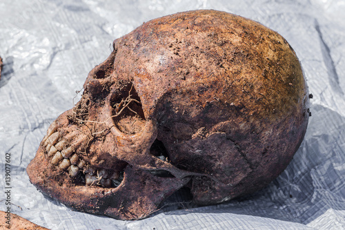 Skeleton remains of a buried unknown victim