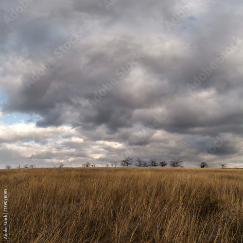 storm clouds in the autumn steppe