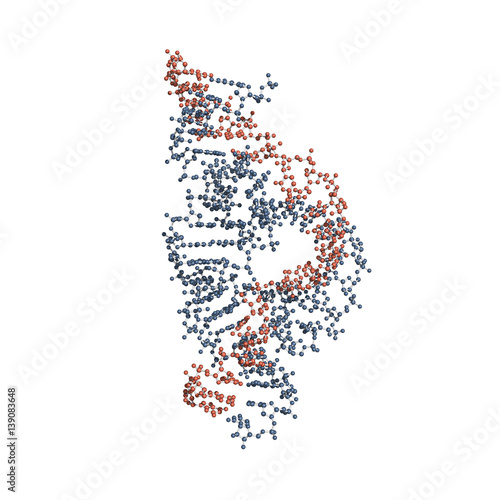 Hammerhead ribozyme is an RNA molecule that catalyzes targeted RNA cleavage and has therapeutic potential. Ball-and-stick model of the full-length form.