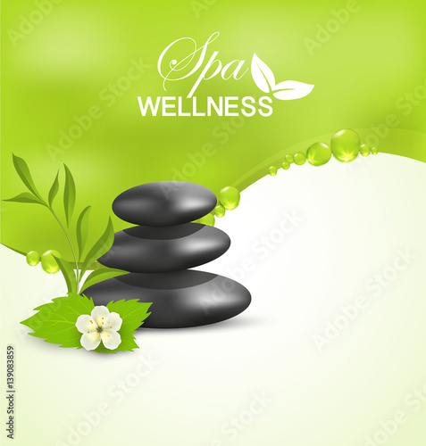 Wellness spa treatment, vector banner green background information