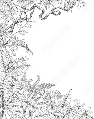 One Sided  Background with Tropical  Plants