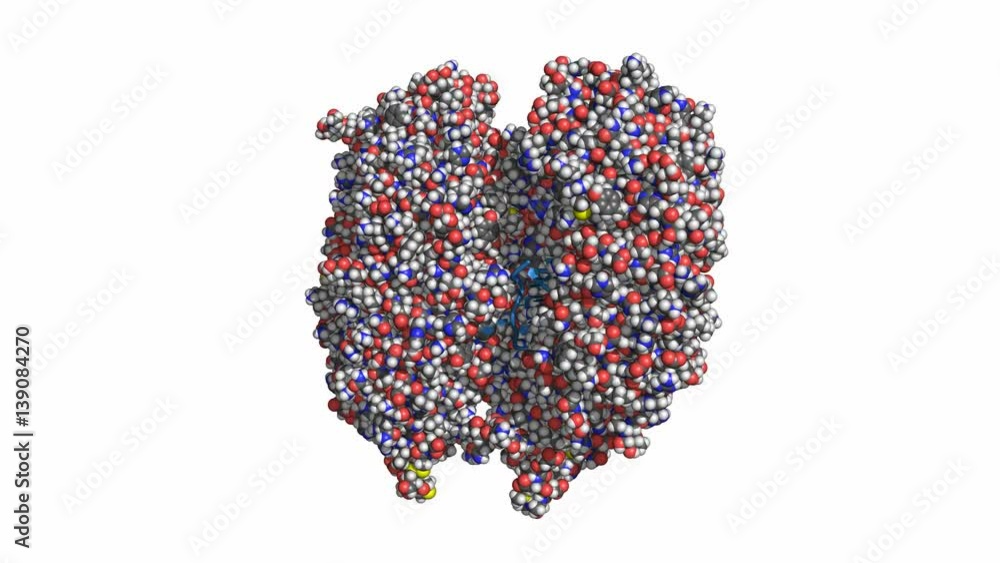 Rna Color Toll-like receptor 13 (TLR13) in complex with bacterial single-stranded ...