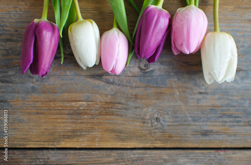 Tulips
