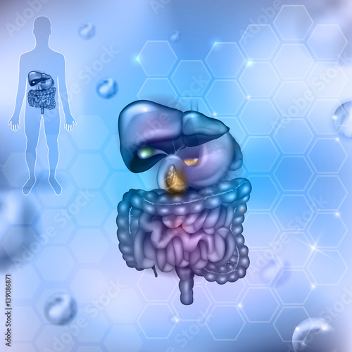 Digestive system abstract scientific background