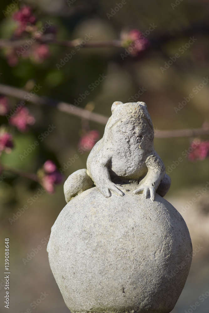 Frog king on the gold ball - fairy tale Frog king on the gold ball - fairy tale