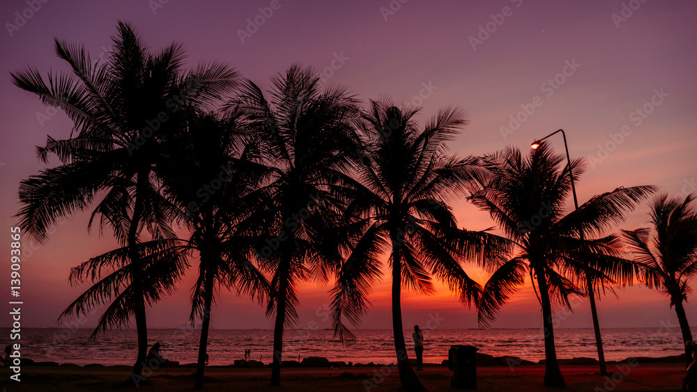 Silhouette of coconut tree with Twilight sunset at the beach, background.