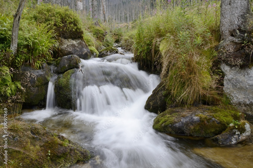 Huncovsky creek / Tatranska Lomnica / High Tatras/ Slovakia