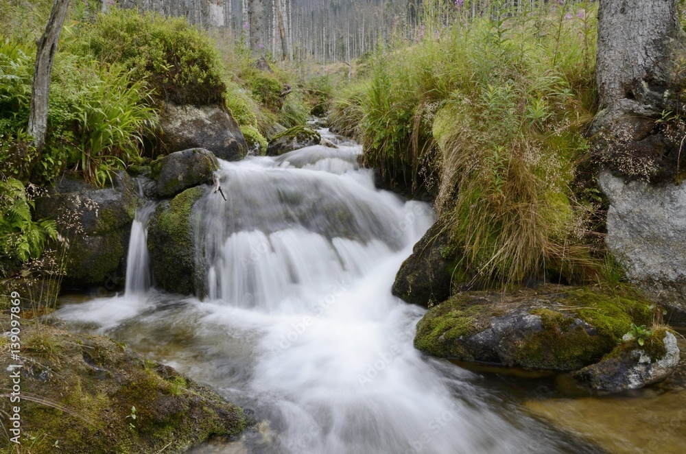 Fototapeta premium Huncovsky creek / Tatranska Lomnica / High Tatras/ Slovakia