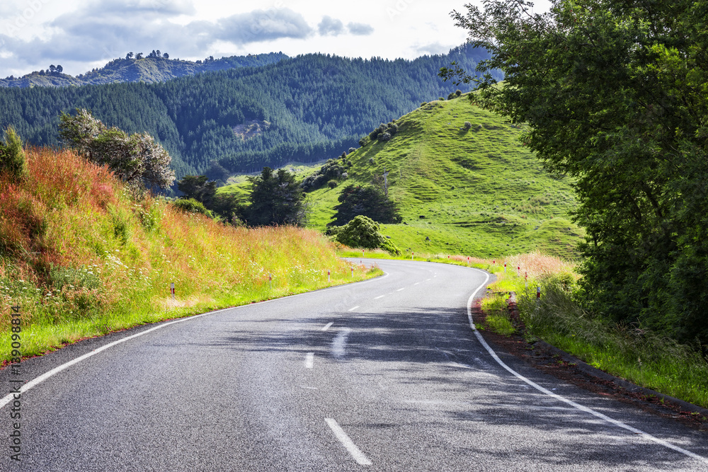 Fototapeta premium winding road New Zealand