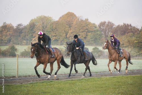 Race horses on the gallops. Three riders and horses galloping along a cinder path. 