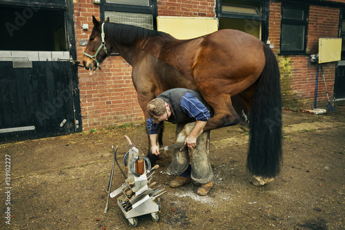 A farrier shoeing a horse, bending down and fitting a new horseshoe to a horse's hoof. 