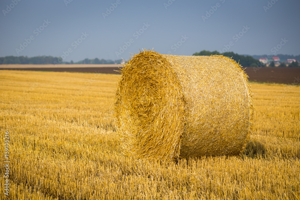 Rolls of haystacks on the field. Summer farm scenery with haystack on the Background of beautiful sunset. Agriculture Concept.Harvest concept