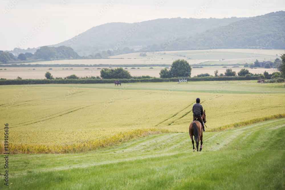 Rear view of a man riding a horse across a field. Rear view of a man riding a horse across a field.