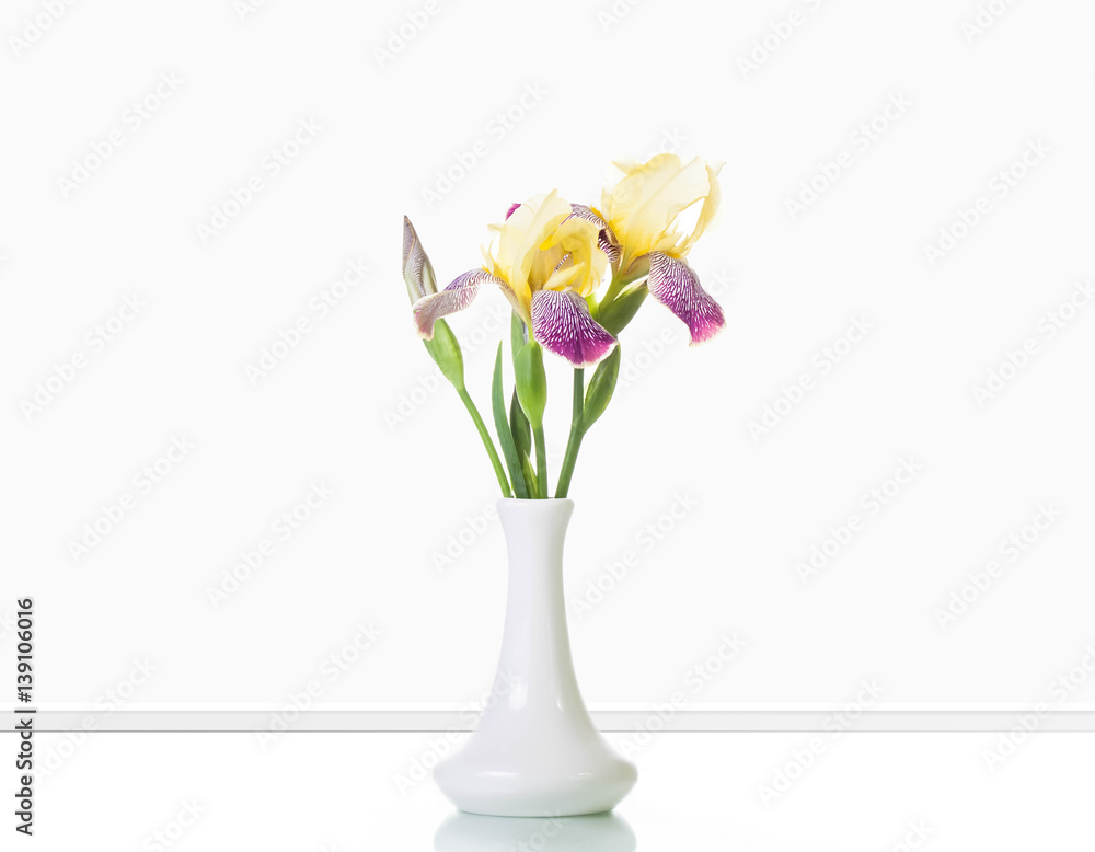 Beautiful iris flowers in white vase
