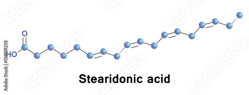 Stearidonic is an omega 3 fatty acid, sometimes called moroctic acid, it is biosynthesized from ALA. Sources of this it are seed oils of hemp, blackcurrant, corn gromwell, echium, and Spirulina