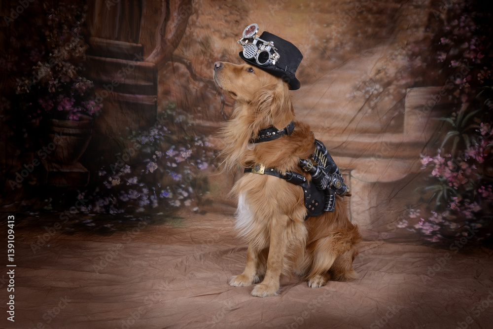 Golden Retriever dog clothes Steampunk outfit pistol hoses