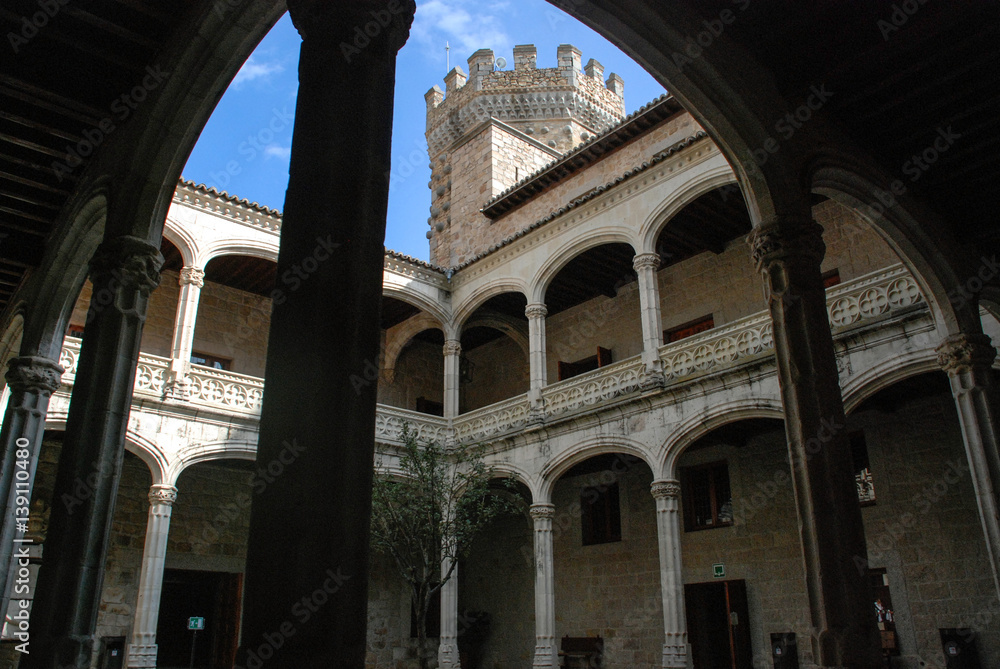 Castle in Manzanares del Real