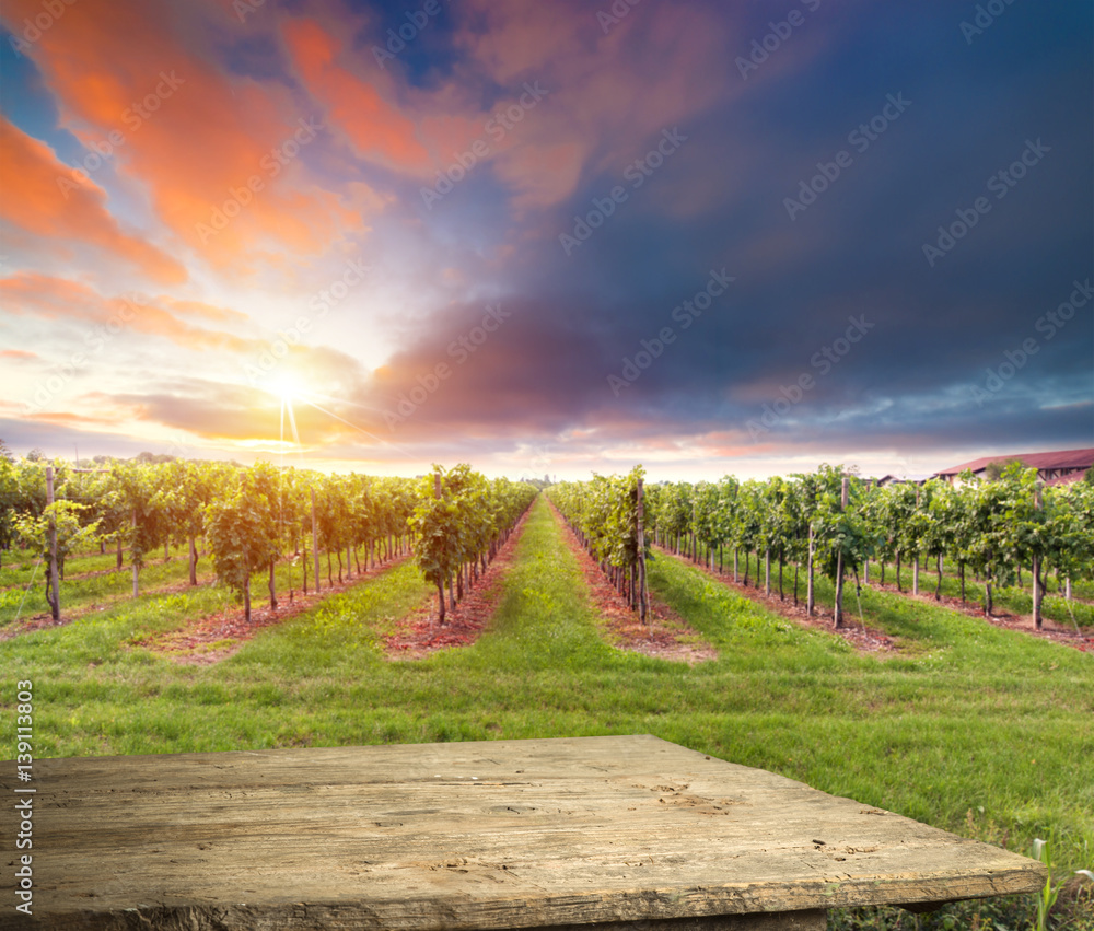 Red wine with barrel on vineyard in green Tuscany, Italy