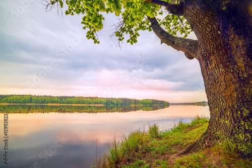 Fototapeta Naklejka Na Ścianę i Meble -  early morning on a beautiful lake in the woods. Oaks on the beach. Gentle soft morning light and soft focus.

