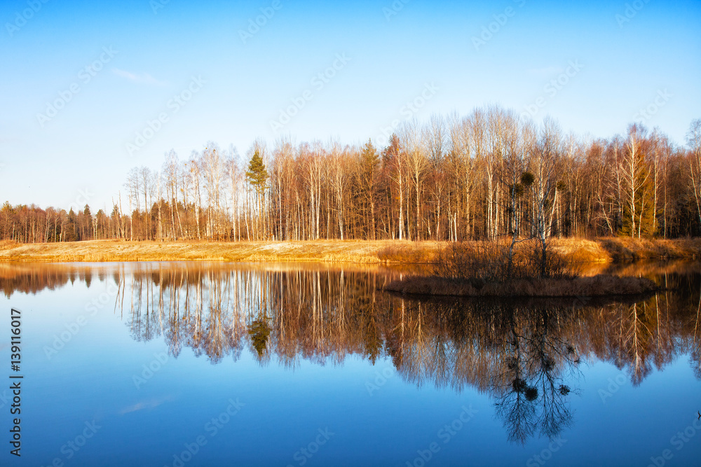 Trees are reflected in water early in the morning in the spring