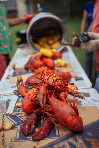 Lobsters laid out on table for Lobster Boil dinner