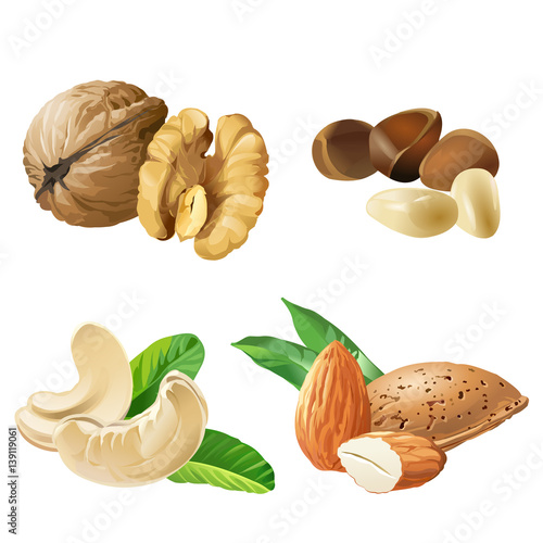 Set vector icons of nuts