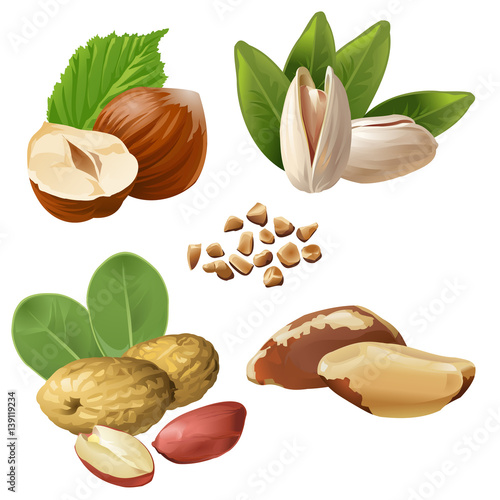 Set vector icons of nuts