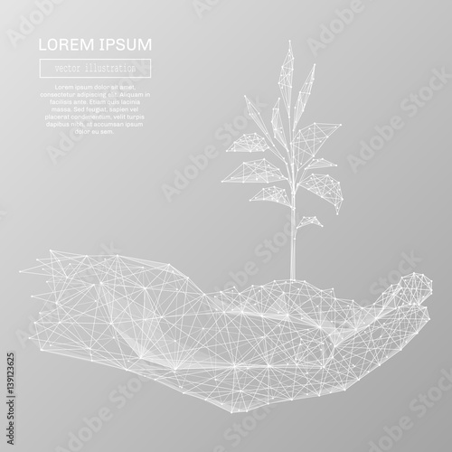 White abstract human hands holding sprout polygonal, geometry triangle. Light connection structure. Low poly vector on gray business concept background.