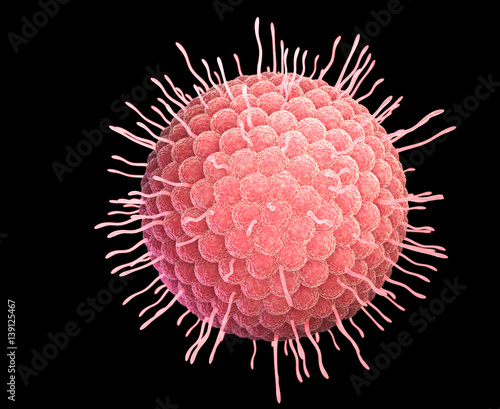 Varicella zoster virus