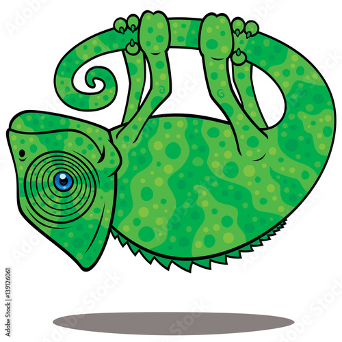 Magical Chameleon