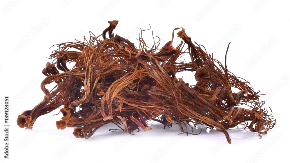 Fototapeta premium Dry Bombax ceiba