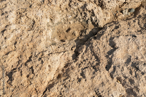 Stone background and texture 