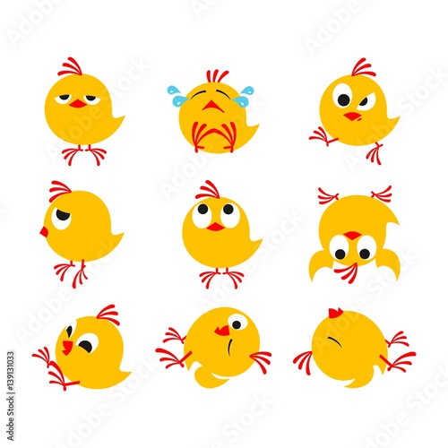 funny chickens package