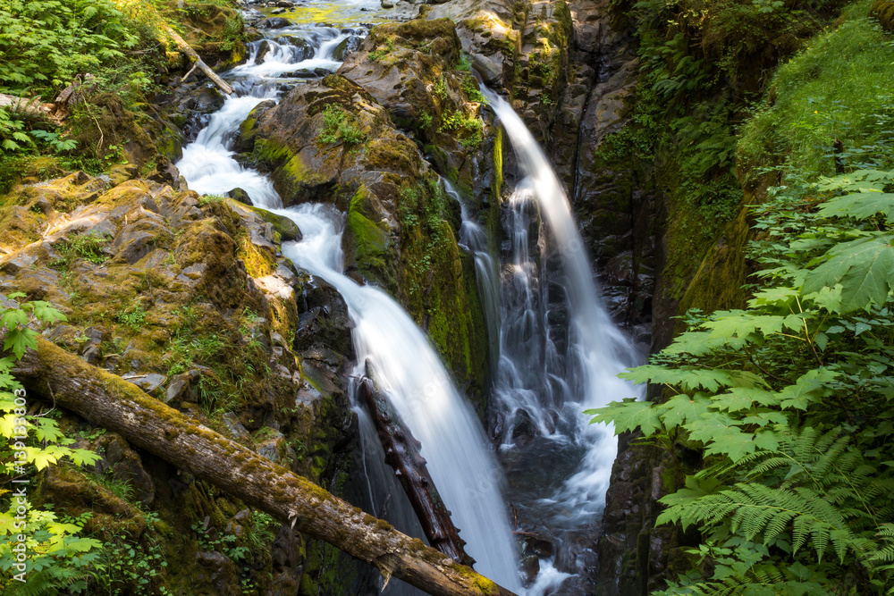 Twin Waterfalls in Washington Forest Twin Waterfalls in Washington Forest
