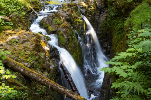 Fototapeta Naklejka Na Ścianę i Meble -  Twin Waterfalls in Washington Forest