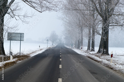 Foggy road with trees next to it © shogun133