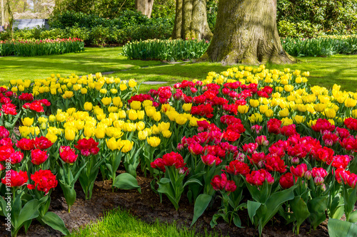 Spring Formal Garden. Beautiful garden of colorful flowers