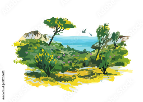 Fotografie Illustration of  mediterranean maquis