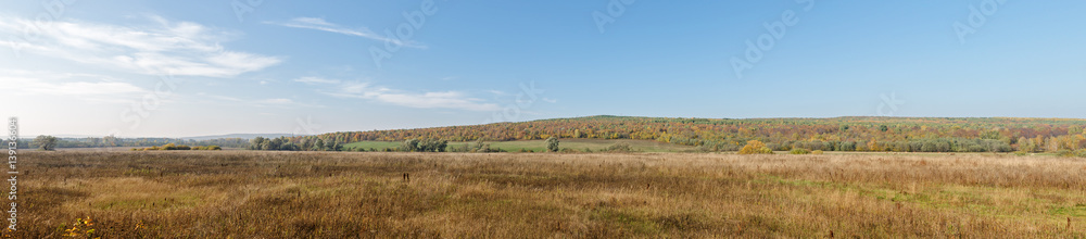 Landscape Panorama. Russian Field Overlooking The Forest With Autumn Colors And Blue Sky.