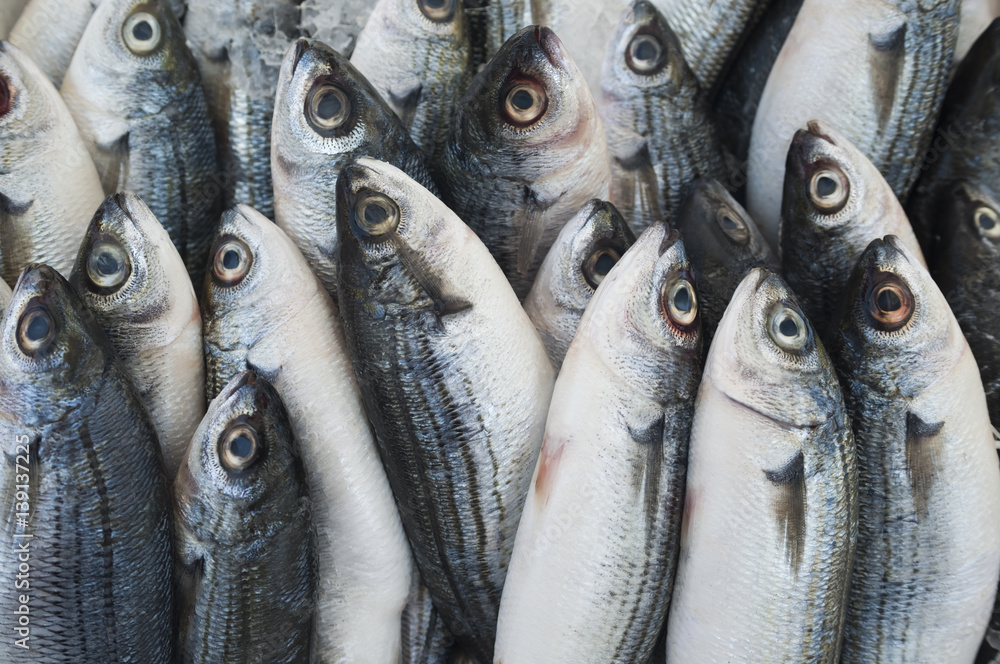 Obraz premium Various fresh fish and seafood at the fish market